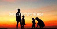 29歲2月懷孕生男孩還是女孩？清宮表2023帶你預測結果