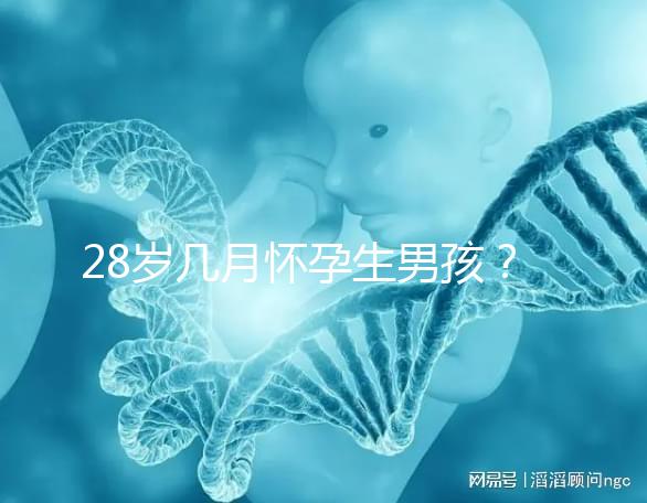 28歲幾月懷孕生男孩？2023年生男孩的月份表看這里