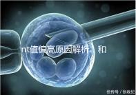 nt值偏高原因解析:和熬夜并沒(méi)有關(guān)系