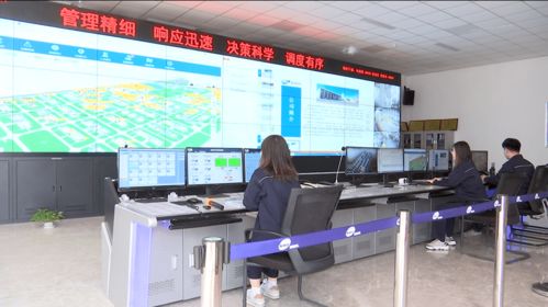 濱海區 以信息技術開發為引擎，筑牢企業安全管理新防線